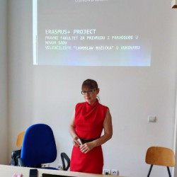 IMG 869f8e42d1e964dd6b0d8776b2cca800 V