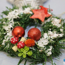 SUBOTICAcom 21Dec2016 Pravnifakultet 1145186