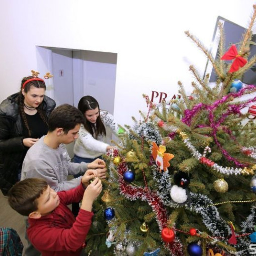 SUBOTICAcom 21Dec2016 Pravnifakultet 1145237